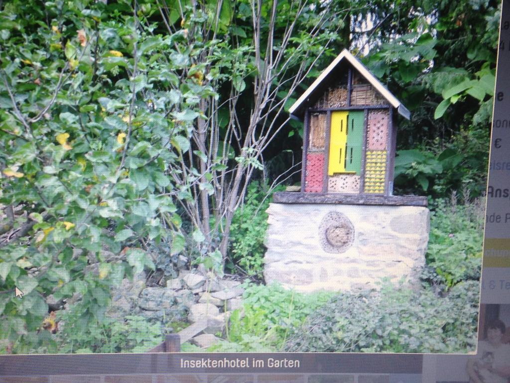 Ferienwohnung Dietlinde Bad Blankenburg Rom bilde
